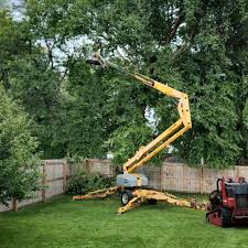 Best Hazardous Tree Removal  in Madison Park, NJ